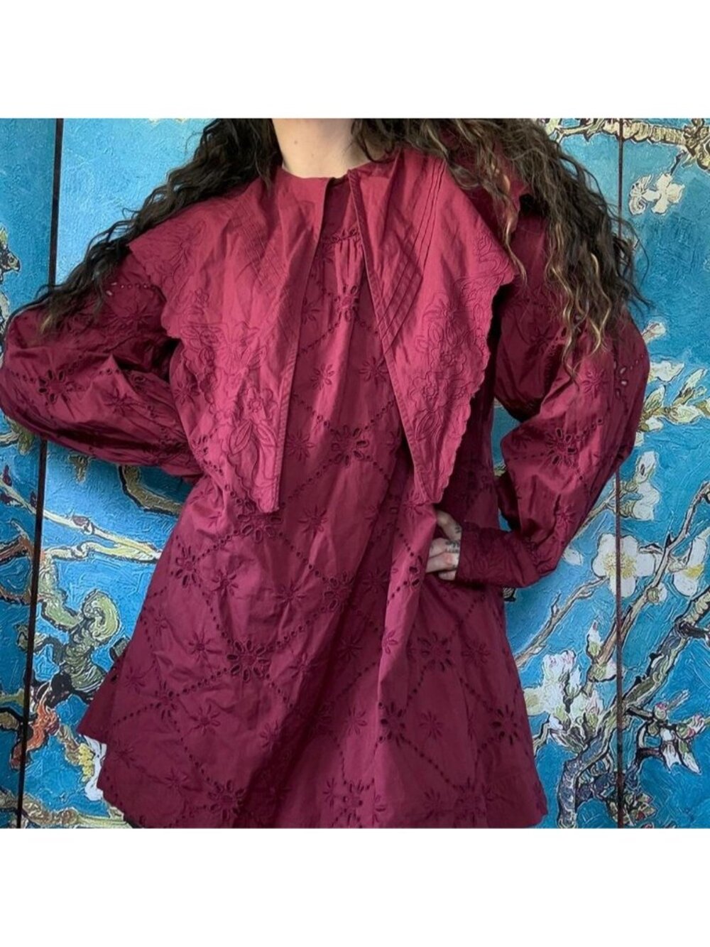 Damson Madder Burgundy Cotton Eyelet Dress nwt - Picture 3 of 8